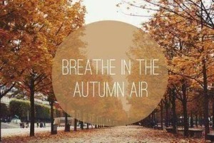 41288-Breath-In-The-Autumn-Air